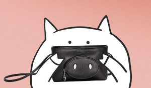 Mr Bags x Longchamp Pouch Year of the Pig